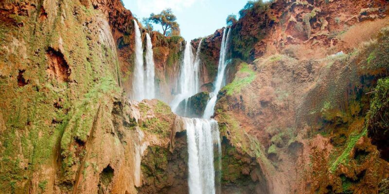 From Marrakech: Ouzoud Waterfalls Guided Tour & Boat Ride - Customer Reviews and Ratings