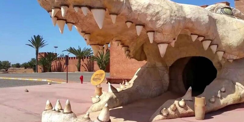 From Marrakech : Private 1-Day Trip To Agadir City - Transportation Details