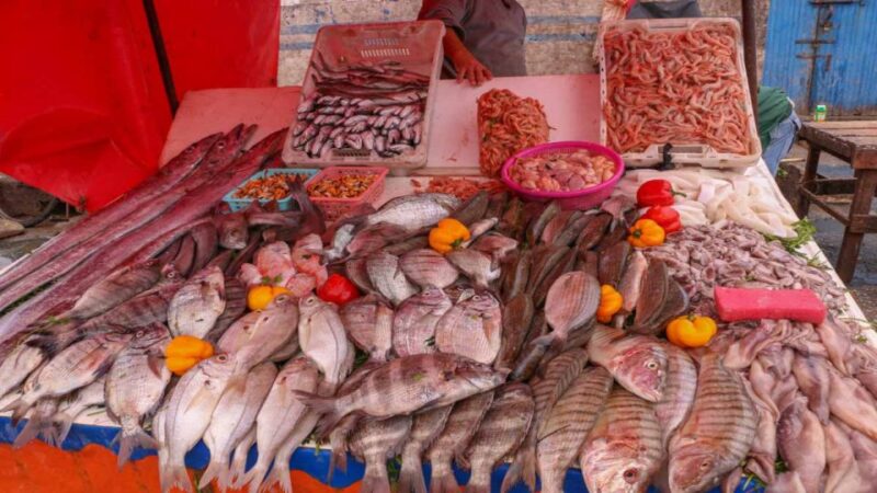 From Marrakech : Private 1-Day Trip To Essaouira Mogador - Water Sports and Outdoor Activities