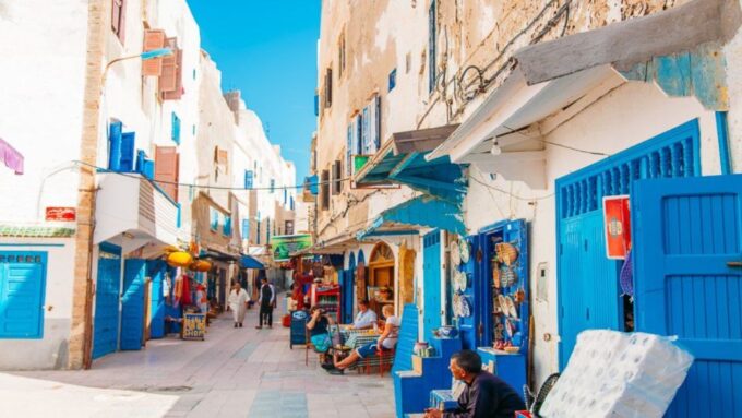 From Marrakech : Private 1-Day Trip To Essaouira Mogador - Private Transportation and Professional Driver