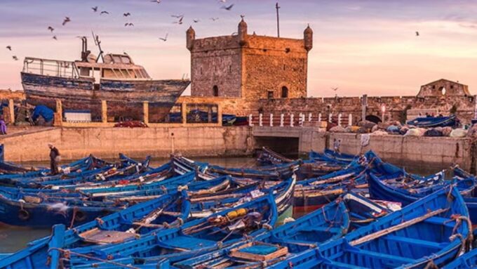 From Marrakech : Private 1-Day Trip To Essaouira Mogador - Verified Customer Ratings and Reviews