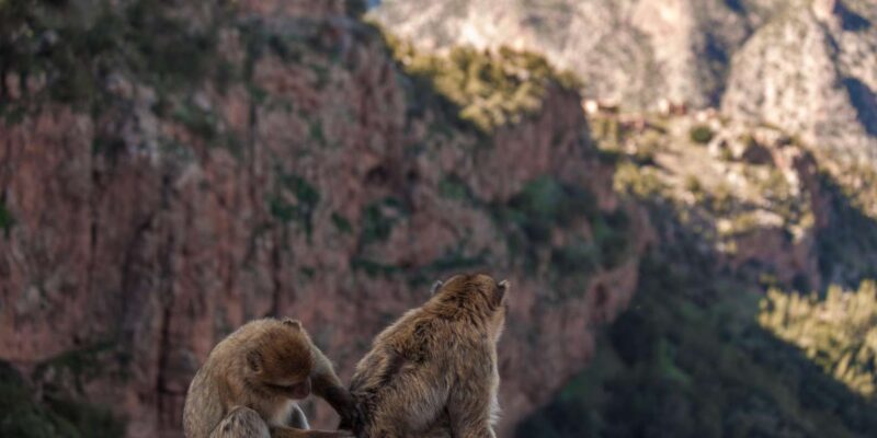 From Marrakech : Private 1-Day Trip To Ouzoud Waterfalls - Itinerary Highlights
