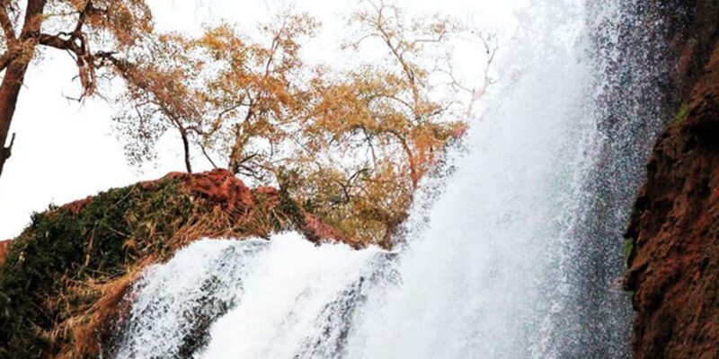 From Marrakech : Private 1-Day Trip To Ouzoud Waterfalls - Important Information