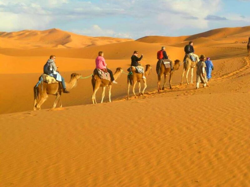 From Marrakech: Private 3-Day Tour to Fes via Merzouga - Accommodations and Meals