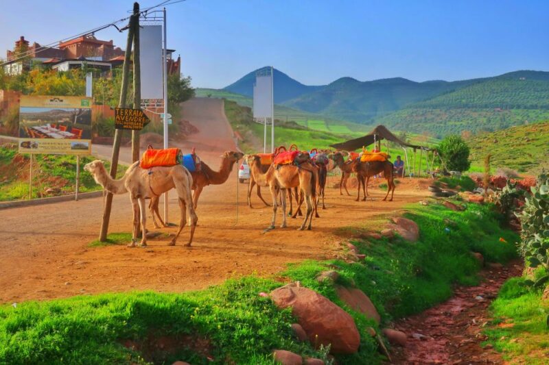 From Marrakech: Private Atlas Mountains Day Trip - Good To Know