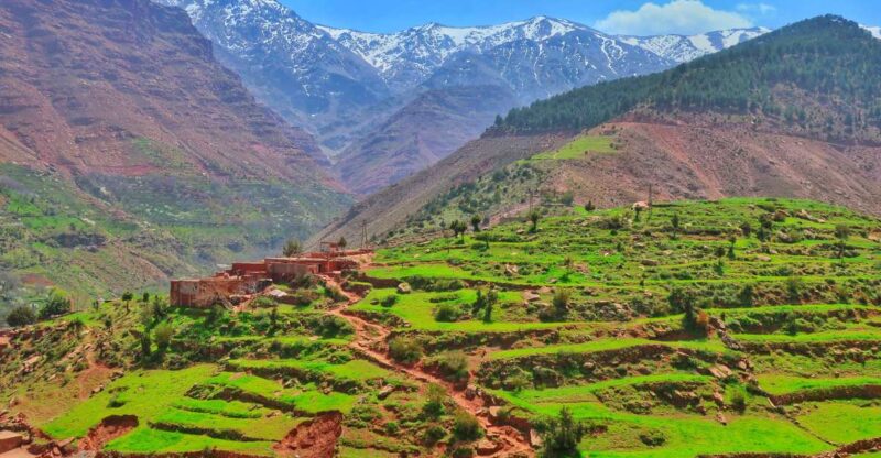 From Marrakech: Private Atlas Mountains Day Trip - Experience Highlights