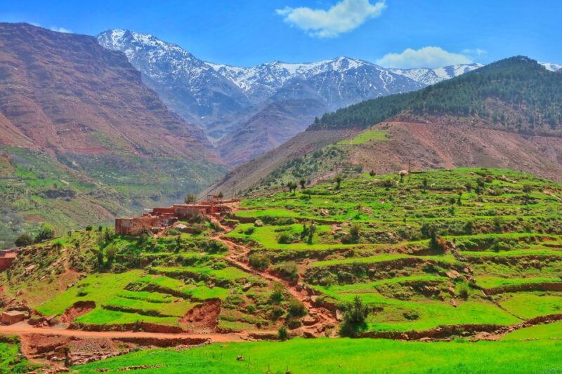 From Marrakech: Private Atlas Mountains Day Trip - Exploring the Majestic Atlas Mountains