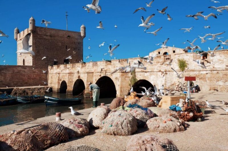 From Marrakech: Private Day Trip To Essaouira Mogador - Good To Know