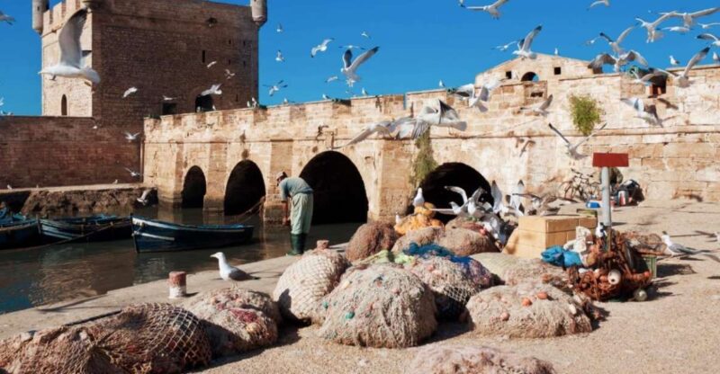 From Marrakech: Private Day Trip To Essaouira Mogador - Discovering Vibrant Souks and Local Delicacies