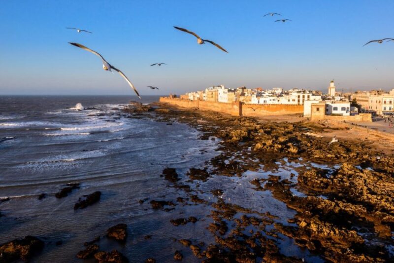 From Marrakech: Private Day Trip To Essaouira Mogador - Delectable Grilled Fish and Seafood Specialties