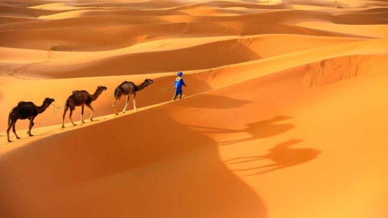 From Marrakech : Private Merzouga 3-Day Desert With Food - Dades Gorges and Traditional Hotel