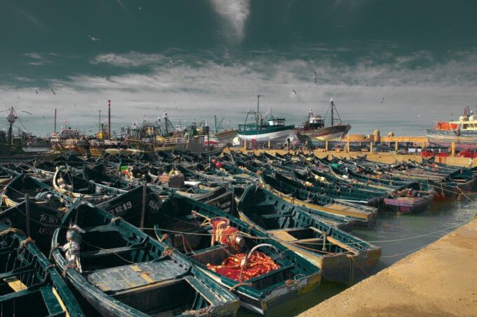 From Marrakech: Private Transfer to Essaouira - Customer Ratings and Reviews