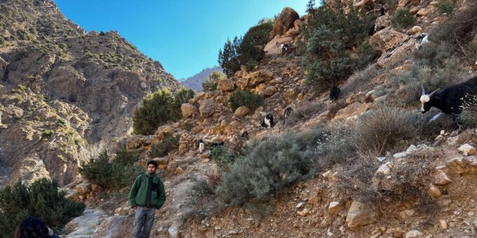 From Marrakech: Private Trip To Atlas Mountains Waterfalls - Discovering Berber Culture