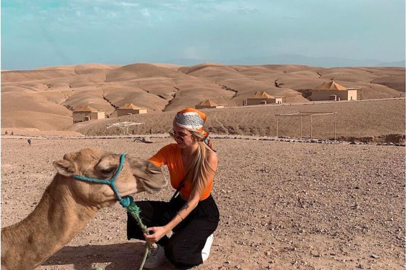 From Marrakech :Sunset Camel Ride in Agafay Desert - Ascent to Viewpoint