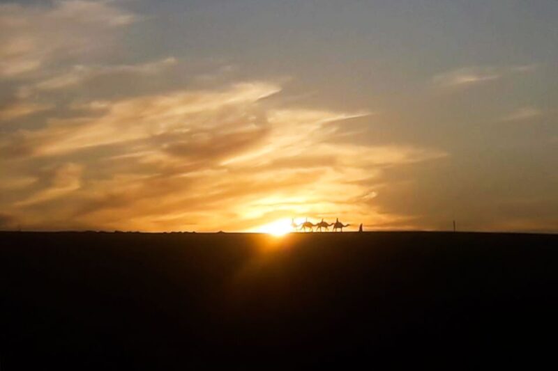 From Marrakech: Sunset Camel Ride in the Agafay Desert - Inclusions and Exclusions