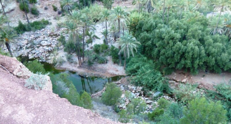 From Marrakech to Agadir : Private Day Trip With Cable Car - Exploring Agadir Crocoparc and Kasbah