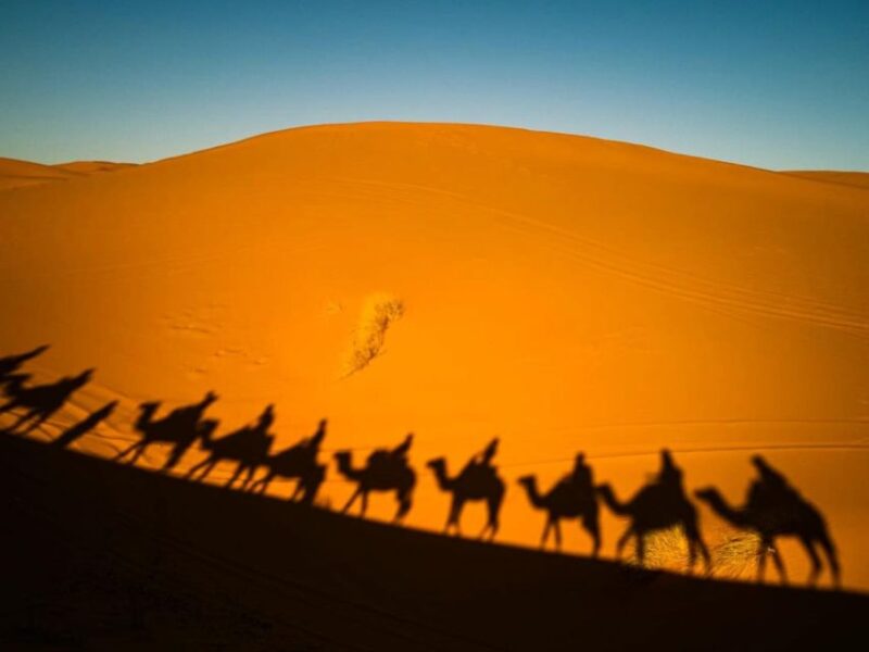 From Marrakech to Chefchaouen via Sahara Desert and Fes - Marrakech to Boumalne Dades