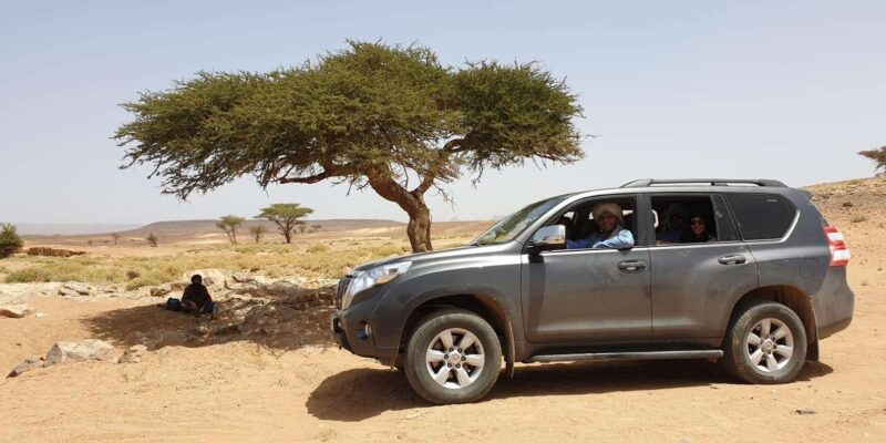 From Marrakech : to Erg Chigaga Desert Tour 3 Days /2 Night - Day 2: Zagora to Erg Chigaga