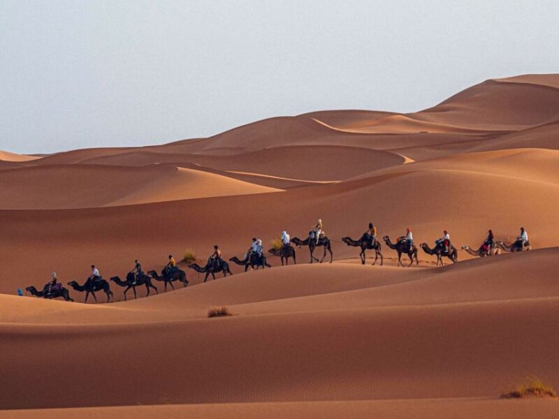 From Marrakech To Fez : Best Desert Adventure 3-Day - What to Bring and Important Information