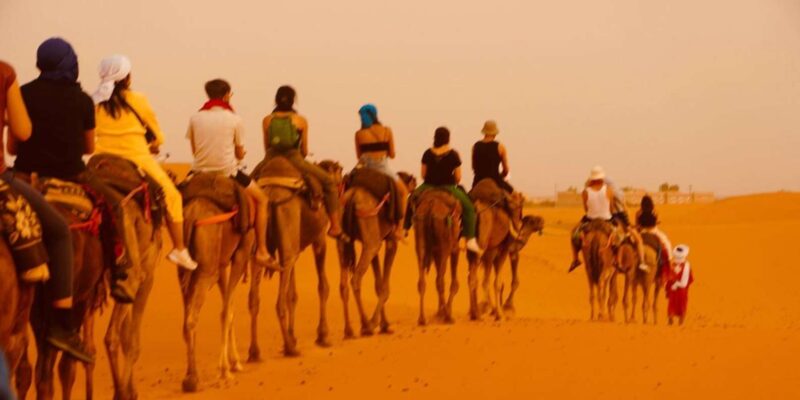 From Marrakech: Tour 3-Day To Fez Via-Desert Merzouga - Day 2: Dades to Todgha Gorges