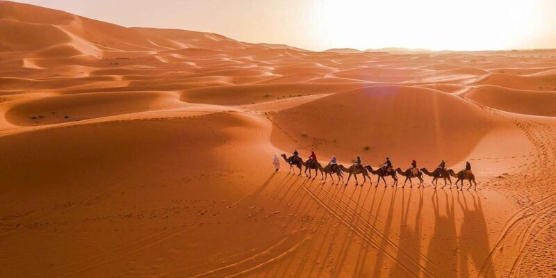 From Marrakech: Unforgettable 3-Day Desert Tour to Fes - Fossil-Rich Erfoud and Cedar Forests