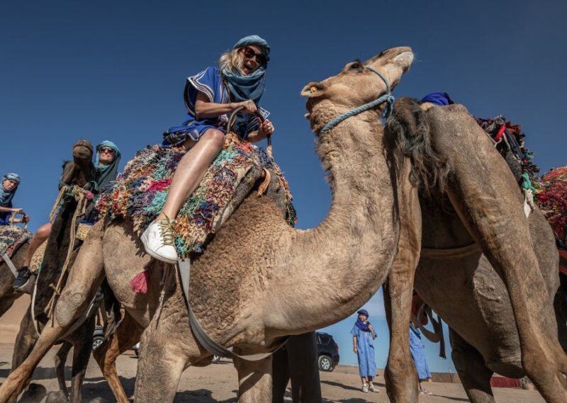 From Marrakech: VIP Agafay Desert & Oasis Camel Experience - Highlights of the Camel Ride Adventure