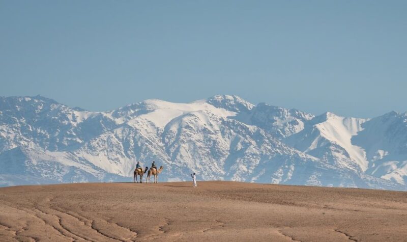 From Marrakech: VIP Agafay Desert & Oasis Camel Experience - What to Bring and Prepare for the Tour