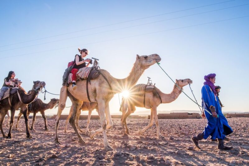 From Marrakech: Zagora 2-Day Desert Safari With Food & Camp - Overview of the 2-Day Safari