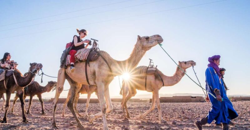 From Marrakech: Zagora 2-Day Desert Safari With Food & Camp - Camel Trekking in the Dunes