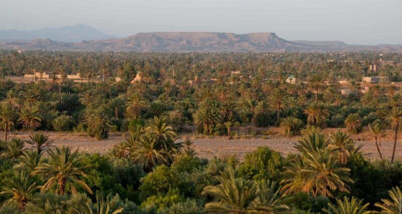 From Marrakesh: 4-Day Private Atlas Mountains & Desert Tour - Customer Experience
