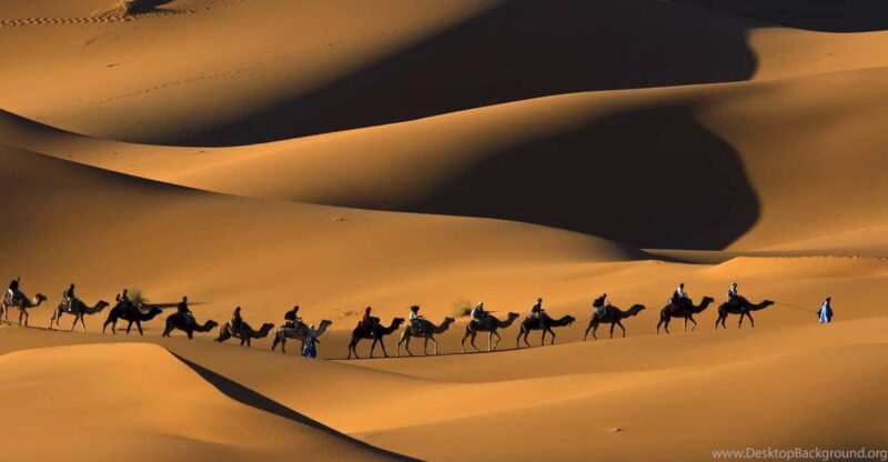 From Marrakesh: 4D3N Merzouga Desert and Fes Tour - Itinerary Highlights