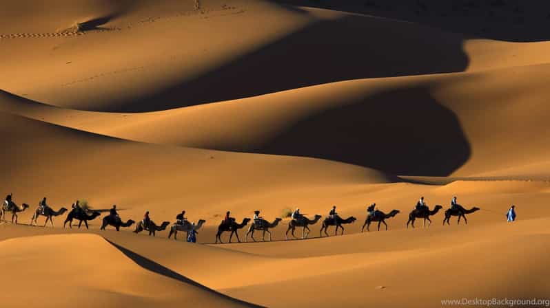From Marrakesh: 4D3N Merzouga Desert and Fes Tour - Included Features