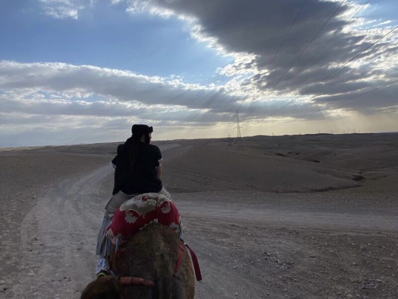 From Marrakesh: Agafay Desert Quad, Camels, Dinner, and Show - Cultural Performances