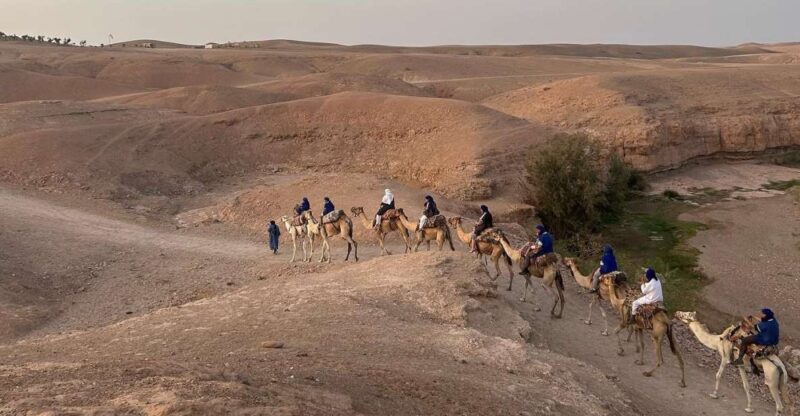 From Marrakesh: Agafay Desert Sunset, Camel Ride, and Dinne - Good To Know