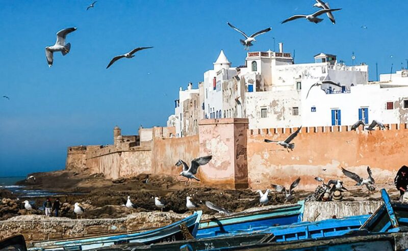 From Marrakesh: Essaouira Full-Day Trip - Highlights of the Trip