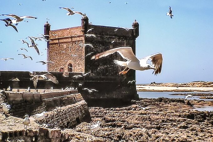 From Marrakesh: Essaouira Full-Day Trip - Relaxing on Essaouiras Beach