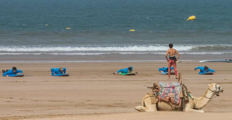 From Marrakesh: Essaouira Surfing Day Trip - Tailored Lessons for All Levels