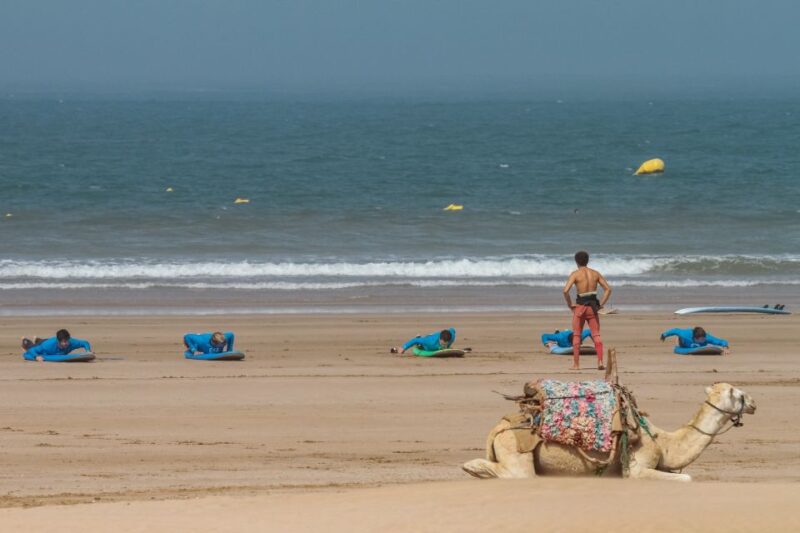 From Marrakesh: Essaouira Surfing Day Trip - Exploring Essaouira Town