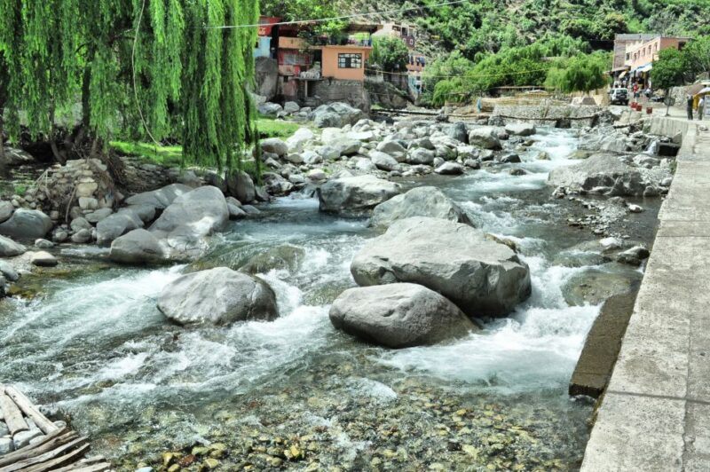 From Marrakesh: Ourika Valley & Atlas Mountains Day Tour - Transportation and Guides