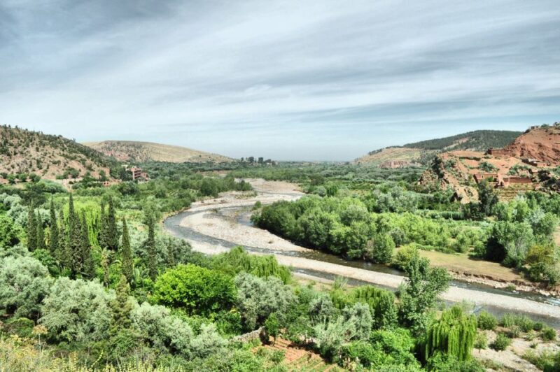 From Marrakesh: Ourika Valley & Atlas Mountains Day Tour - Customer Experience and Reviews