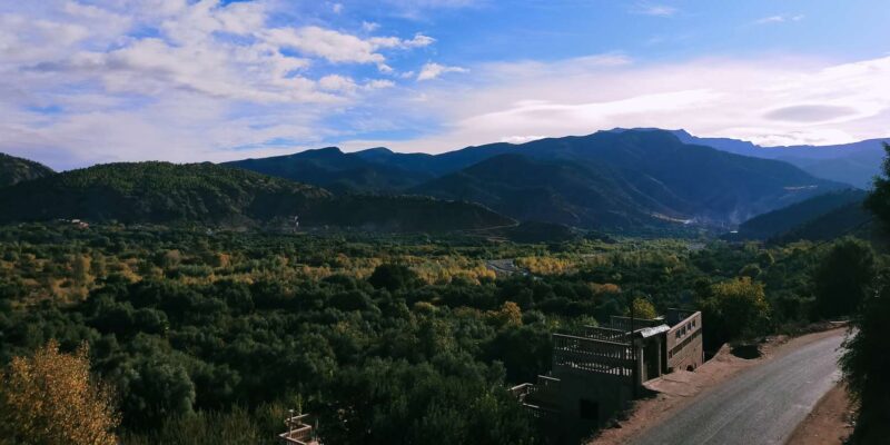 From Marrakesh: Ourika Valley & Atlas Mountains Day Trip - Visiting a Local Argan Oil Cooperative
