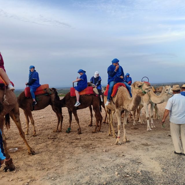 From Marrakesh: Sunset Camel Ride in the Agafay Desert - Good To Know