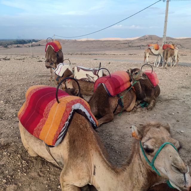 From Marrakesh: Sunset Camel Ride in the Agafay Desert - Sunset Panoramic Views