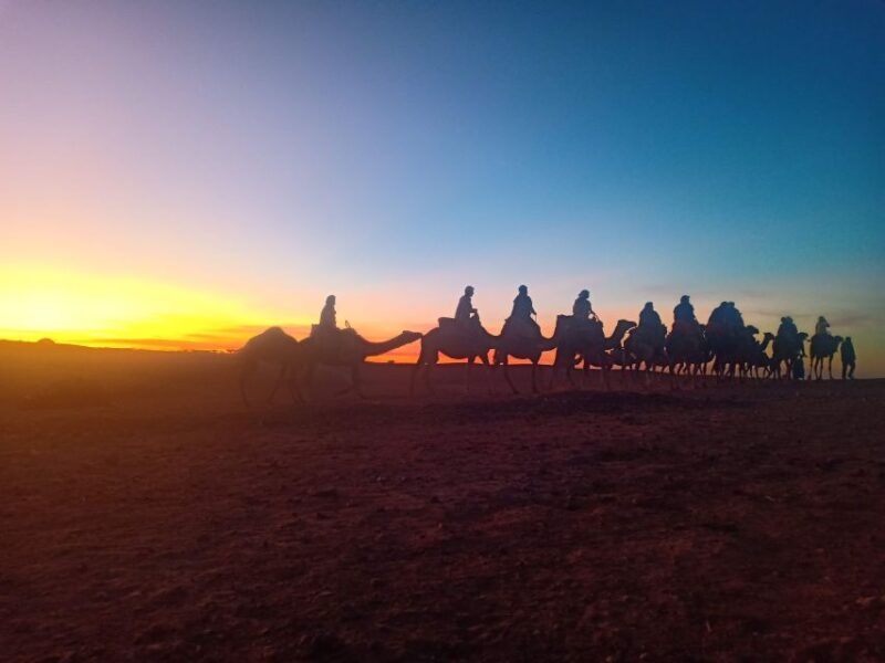 From Marrakesh: Sunset Camel Ride in the Agafay Desert - Transport and Pickup Details