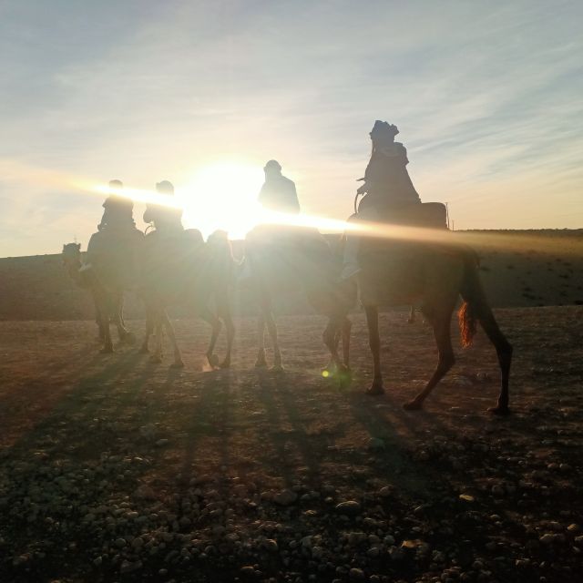 From Marrakesh: Sunset Camel Ride in the Agafay Desert - Packing and Attire Recommendations