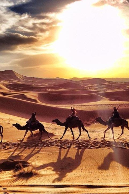 From Marrakesh to Chefchaouen: via the Sahara and Fez - Discovering the Wonders of Fes