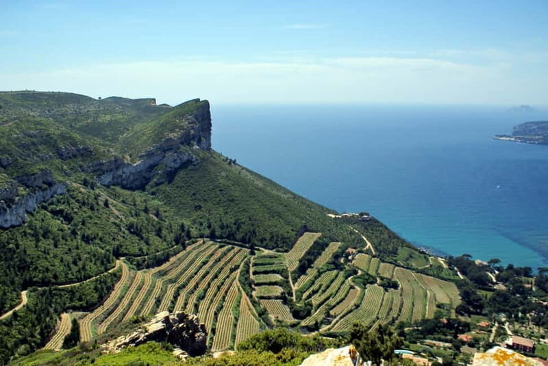 From Marseille: Cassis 4 hours - Who Should Consider This Tour