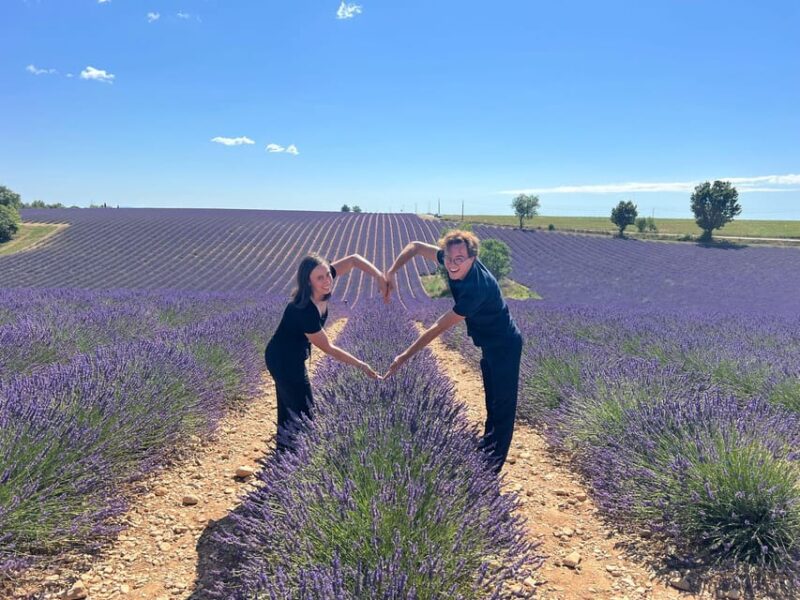 From Marseille Cruise Port : Valensole Lavender - Itinerary Highlights