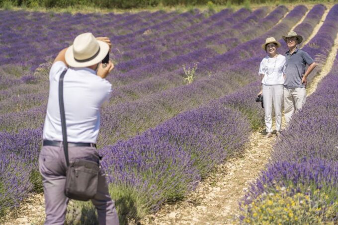 From Marseille Cruise Port : Valensole Lavender - Frequently Asked Questions