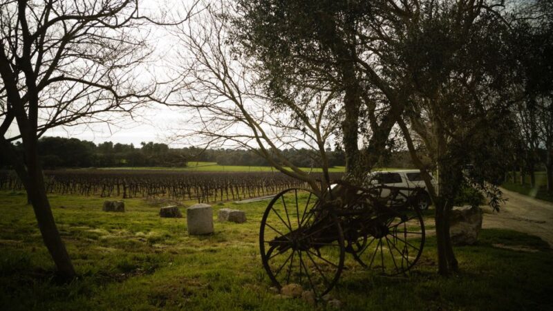 From Marseille: Customizable Private Day Tour of Provence - Highlights of the Tour